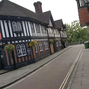 Inn Juniper Berry